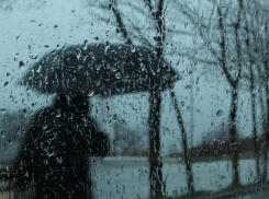 Погода в Волгограде: мокро, ветрено, тоскливо