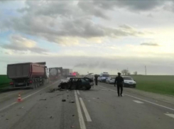  Волгоградцы отказались от празднования 1 мая: люди несут игрушки и цветы 