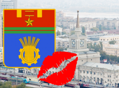 Волгоградцы благодарят депутатов за сосенки и вклады