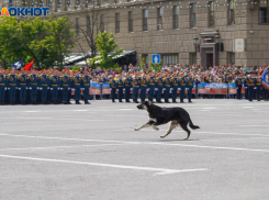«Депутаты после победы в Волгограде забыли о Сталинграде»: политолог 