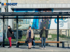 В Волгограде вернули дачные маршруты: полное расписание