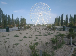 Волгоградцы потребовали расторгнуть договор с концессионерами главного парка города