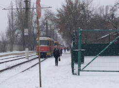 В Ворошиловском районе Волгограда встали трамваи