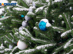 68% волгоградцев готовы отказаться от празднования Нового года во время СВО: показал опрос