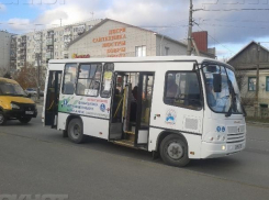 В Камышине низкопольному автобусу для инвалидов забыли сделать расписание