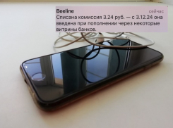 Комиссию за пополнении баланса телефона начали брать в Волгограде