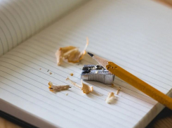 Волгоградцы выступают за очное образование, несмотря на пандемию