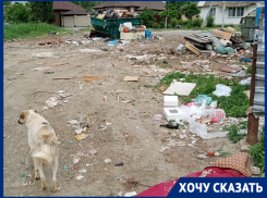 «Живем как на мусорном полигоне»: каким мэр Лихачёв сдает Волгоград