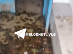 Извержение кипятка в МКД Волгограда сняли на видео 