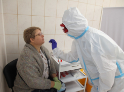 В Волгоградской области частников попросили снизить цены на ПЦР-тесты для разгрузки поликлиник