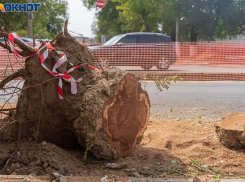 Тело мужчины обнаружили на остановке в Волгограде 