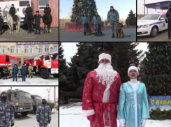 Побольше друзей и крепкого иммунитета пожелали волгоградцам сотрудники МВД в новом году: видео 