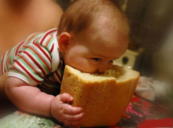 Волгоградцы рискуют остаться без хлеба в Новом 2015 году 