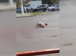 Стали известны страшные подробности ДТП с погибшей волгоградкой