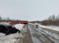 Иномарка без водителя сбила женщину под Волгоградом