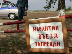 Очаг бешенства ликвидируют в Советском районе Волгограда