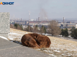 Самую холодную ночь года пережили в Волгограде