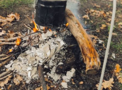 Волгоградцы сожгли в кострах более 4 миллионов рублей 