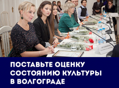 Культура в Волгограде отстает в развитии, а руководят этой сферой врачи и завхозы, - итоги 2016 года 