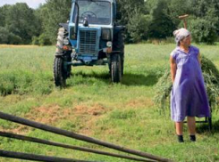 Под Волгоградом доярка украла у любимого тракториста 16 тысяч 