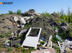 После публикации «Блокнота Волгограда» депутат Госдумы потребовал привести в порядок захламленную «Лысую Гору»