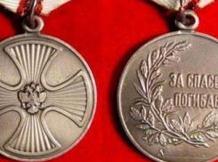 Жители Волгоградской области получили награды, присвоенные указом Путина