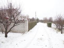 Фотографиями первого снега делятся волгоградцы в соцсетях