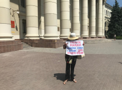 «30 тысяч на путевку в лагерь каждому ребенку»: в Волгограде прошли одиночные пикеты