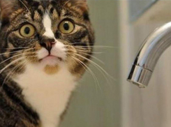 Жители Дзержинского района на 1,5 суток останутся без воды