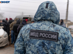 Полиция проверяет массовое отравление кислотой лошадей под Волгоградом 