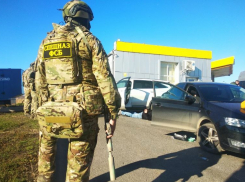 Черную икру и осетровых по-крупному изъяли в Волгограде