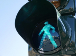 Очевидцев ДТП с 11-летней школьницей, попавшей под колеса Lada и маршрутки, ищут в Волгограде