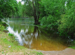 Под Волгоградом реабилитации дождался ерик Шумроватый