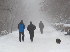 По улицам Волгограда сегодня ходить опасно для жизни 