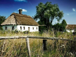 В Волгоградской области активнее всего голосуют селяне