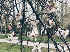Жара и ультрафиолет: в Волгограде все горячее