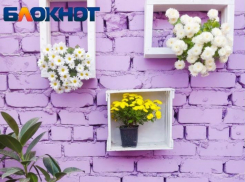 Первоцветы на 3 000 квадратах покажут волгоградцам