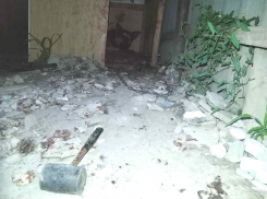 В Волгоградской области женщина избила вилами и молотком домашнюю овчарку