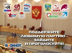 Второе предварительное голосование за баллотирующиеся в Госдуму партии началось