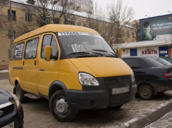 Жителям удалось отстоять маршрутки Волгоград - Волжский: их не уберут с 1 апреля