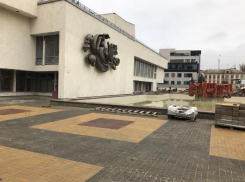 Волгоградские чиновники отчитались о посадке роз вокруг ДЮЦ