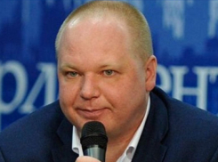 Волгоградский политолог на фоне роста доллара предсказал прилет «черных лебедей» для российской экономики