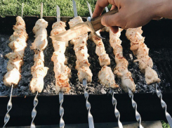 Волгоградцам наконец-то разрешили жарить шашлыки в лесу