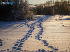 15-летнюю Айлиту похоронили на новом кладбище в Камышине