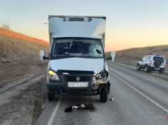 Грузовой фургон сбил пешехода в Волгоградской области: мужчина умер на месте