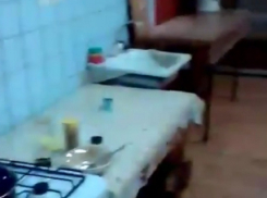 Циркачи-гастролеры показали, в каких условиях им приходиться жить в Волгограде