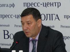 «Пойдём на выборы в Госдуму РФ с коррупцией в госструктурах»: в Волгограде объяснили закрытие партии Путина