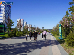 В Волгоградской области повысились доходы 