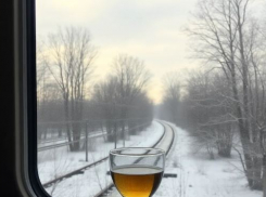 Пассажира поезда Волгоград-Москва арестовали за дебош 