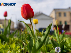 Облачно и геомагнитные возмущения: погода в Волгограде в последний день апреля